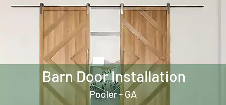 Barn Door Installation Pooler - GA