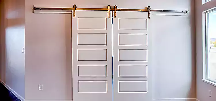 Glass Barn Door with Installation Hardware Kit Pooler