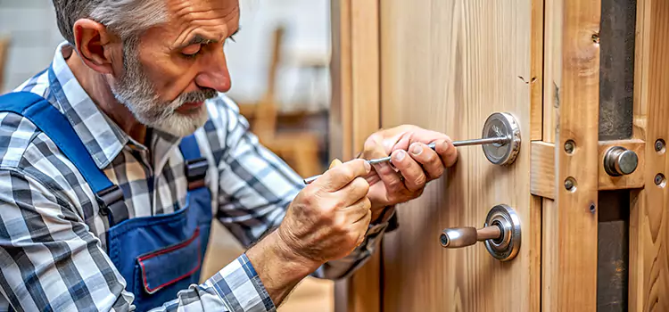 Mortise Replacement Lock Pooler