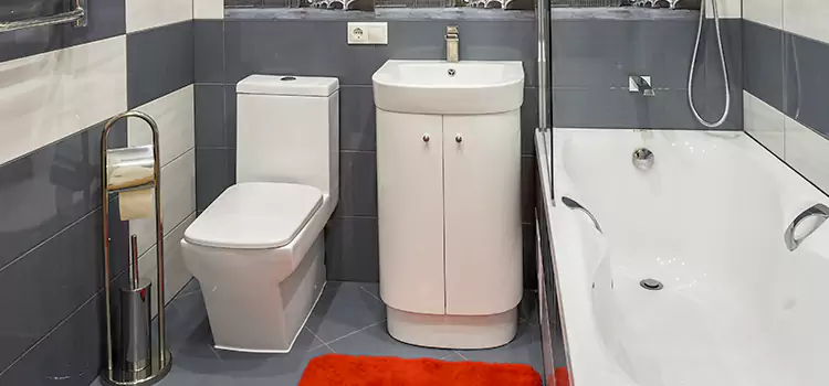 Hansgrohe Shaving Mirror Pooler