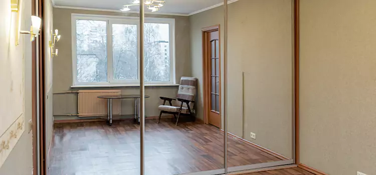 Mirror Closet Door Roller Replacement Pooler